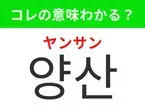 韓国語「양산（ヤンサン）」の意味は？韓国で買いたいあのアイテム！