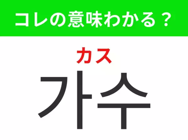 韓国語「가수（カス）」の意味は？K-POP好きには覚えて欲しいあの言葉！