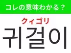 韓国語「귀걸이（クィゴリ）」の意味は？韓国での買い物に役立つあの言葉！