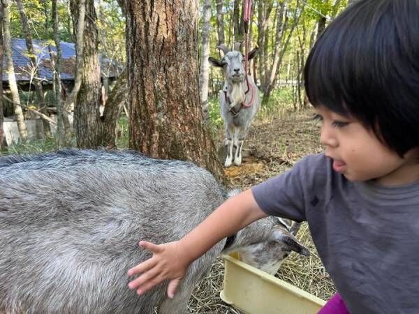 「リピ確定♡」親子で楽しめる【グランピングリゾート体験型メニュー】八ヶ岳トラベルルポ♪