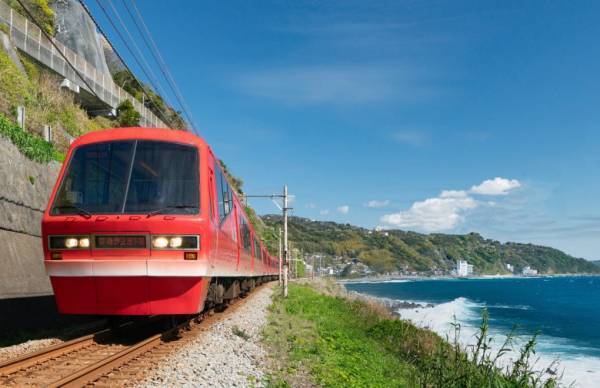 秋深まる行楽シーズン【伊豆満喫フリーきっぷ】で満開のリトルエンジェルを見に行こう♪