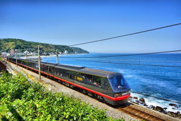 秋深まる行楽シーズン【伊豆満喫フリーきっぷ】で満開のリトルエンジェルを見に行こう♪