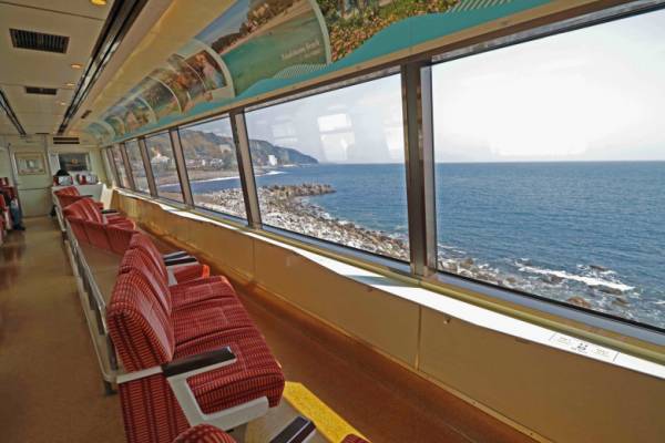 秋深まる行楽シーズン【伊豆満喫フリーきっぷ】で満開のリトルエンジェルを見に行こう♪