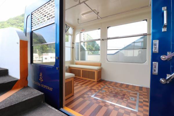 秋深まる行楽シーズン【伊豆満喫フリーきっぷ】で満開のリトルエンジェルを見に行こう♪