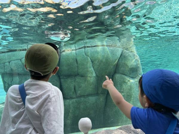 「5歳差兄弟のあるある」な日常にママがトライしたこととは！？ラジオ大阪アナ・和田家の場合