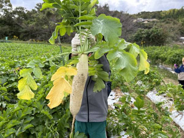 「5歳差兄弟のあるある」な日常にママがトライしたこととは！？ラジオ大阪アナ・和田家の場合