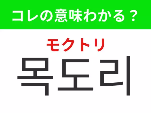 「목도리（モクトリ）」の意味は？KPOPファンなら知っておきたいあの言葉！