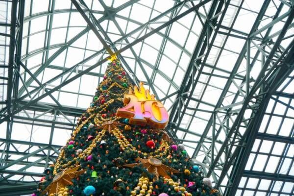 40周年のお祝いも同時に楽しめる！【東京ディズニーランド】の「ディズニー・クリスマス」の見所をご紹介♪