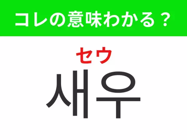 【韓国料理編】覚えておきたいあの言葉！「새우（セウ）」の意味は？
