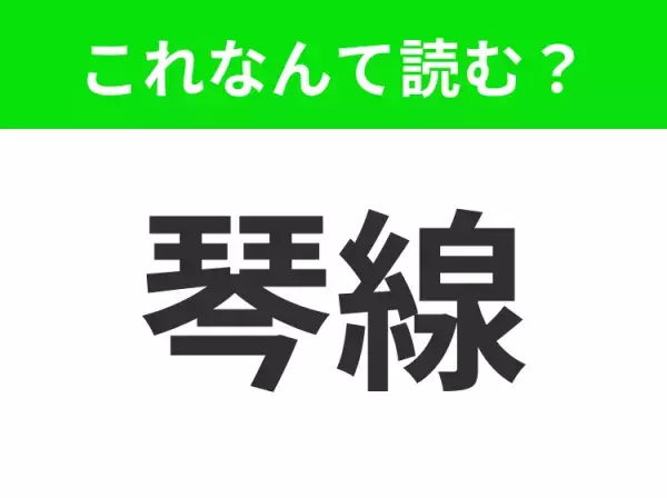 【琴線】はなんて読む？あなたは正解できますか？