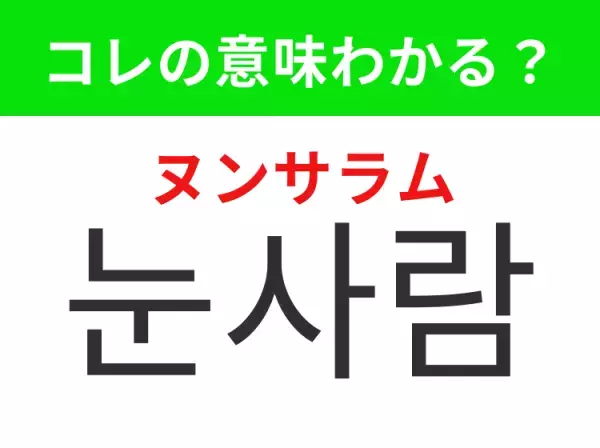 【韓国生活編】覚えておきたいあの言葉！「눈사람（ヌンサラム）」の意味は？