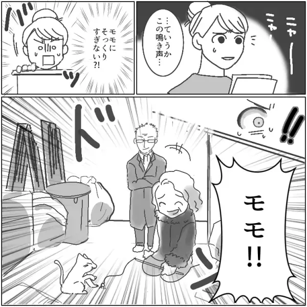 【近隣トラブル】愛猫が盗まれた！？ペットを巡って近所の迷惑夫婦とバトル！