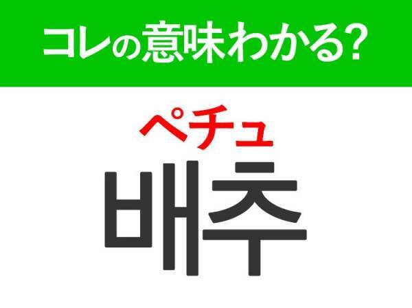 【韓国料理好きは要チェック！】「배추（ペチュ））」の意味は？キムチに欠かせないあの食材！覚えておくと便利な韓国語3選