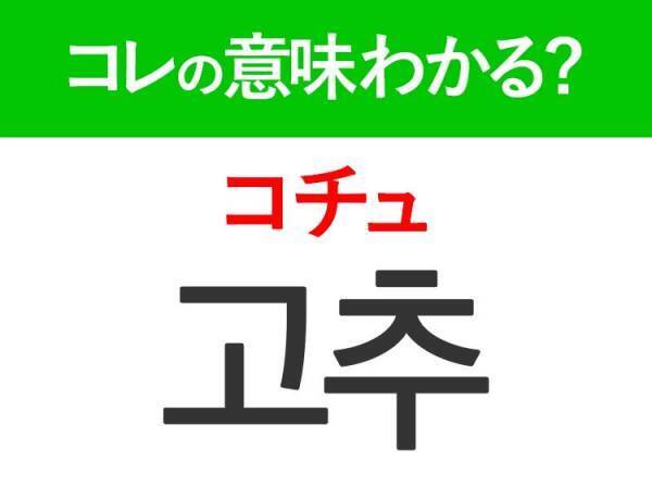 【韓国料理好きは要チェック！】「배추（ペチュ））」の意味は？キムチに欠かせないあの食材！覚えておくと便利な韓国語3選