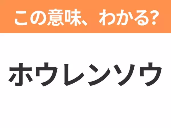 【昭和or Z世代どっち？】「ホウレンソウ」野菜の話ではありませんよ！この日本語わかりますか？