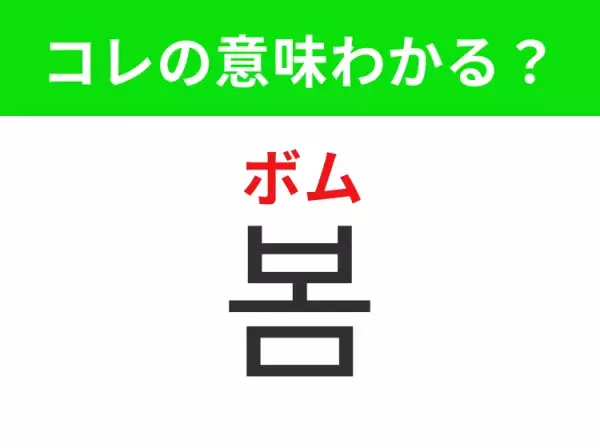 【韓国生活編】覚えておきたいあの言葉！「봄（ボム）」の意味は？