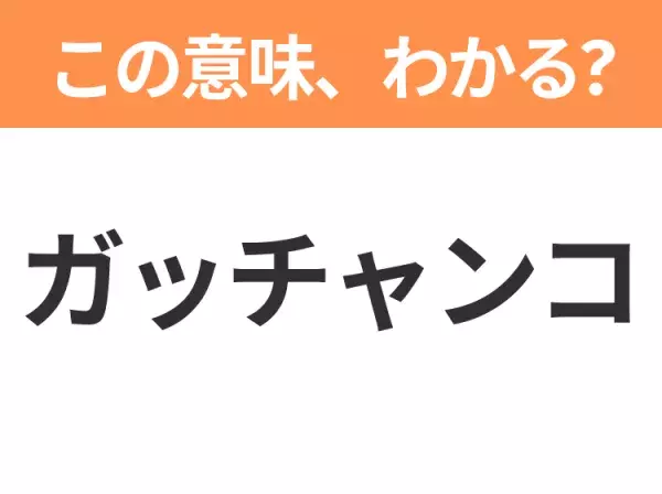 【昭和or Z世代どっち？】「ガッチャンコ」この日本語わかりますか？