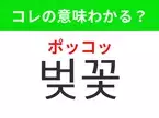 【韓国生活編】覚えておきたいあの言葉！「벚꽃（ポッコッ）」の意味は？