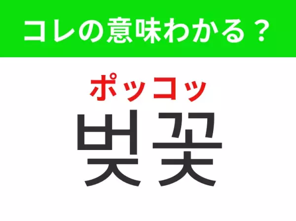 【韓国生活編】覚えておきたいあの言葉！「벚꽃（ポッコッ）」の意味は？