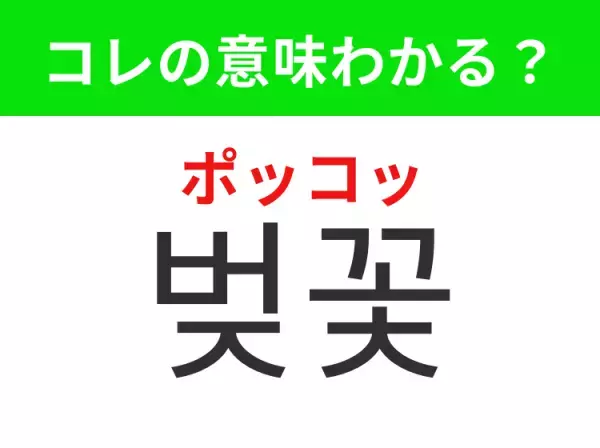 【韓国生活編】覚えておきたいあの言葉！「벚꽃（ポッコッ）」の意味は？