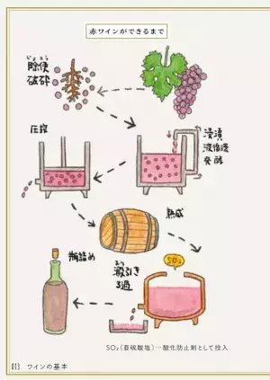 赤ワインと白ワインの造り方の違いは？魚料理に何を合わせるのが正解？【こっそり学ぶワインマナー】