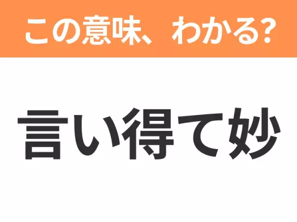 【昭和or Z世代どっち？】「言い得て妙（いいえてみょう）」この日本語わかりますか？