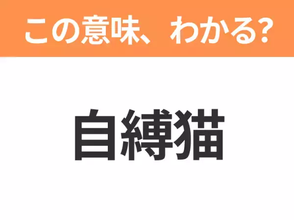 【中国語クイズ】「自縛猫」は何のキャラクター？「猫」を鳴き声に変えて読んでみて！
