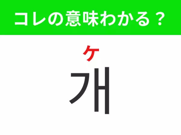 【韓国生活編】覚えておきたいあの言葉！「개（ケ）」の意味は？