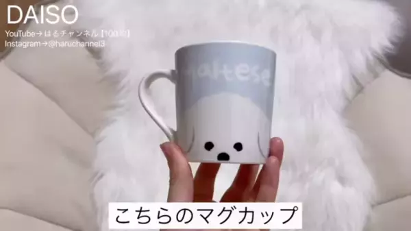 【ダイソーインテリア】おしゃれで高見え！人気YouTuberおすすめの9選ご紹介