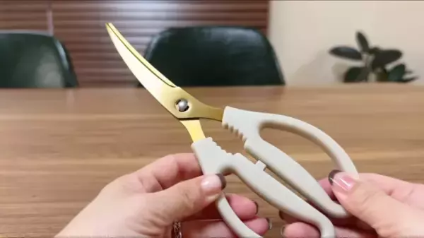 【最新】ダイソーの便利グッズ5選！人気YouTuberが話題のおすすめ商品を紹介