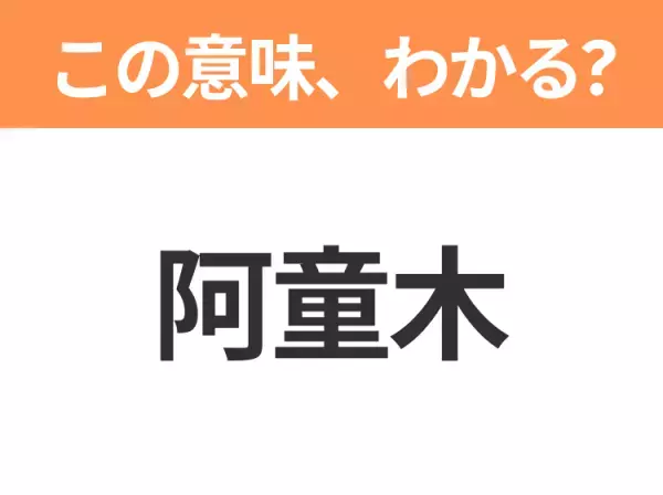 【中国語クイズ】「阿童木」は何のキャラクター？10万馬力のロボット少年といえば！