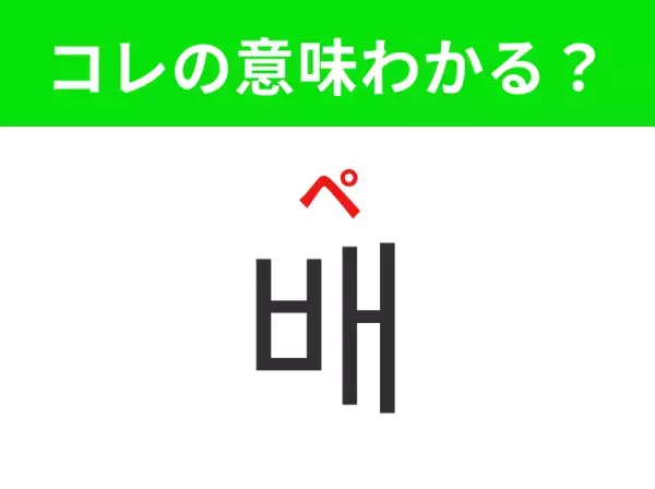 【韓国生活編】覚えておきたいあの言葉！「배（ペ）」の意味は？