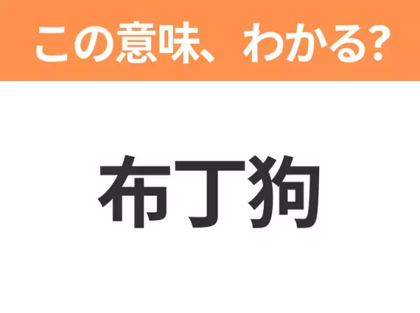 【中国語クイズ】「布丁狗」は何のキャラクター？こげ茶色のベレー帽がトレードマークのあの子！