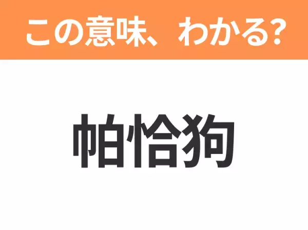 【中国語クイズ】「帕恰狗」は何のキャラクター？ぽちゃぽちゃした犬の男の子！