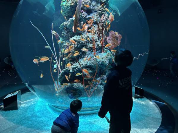 「どこに行く？親子で楽しい春のお出かけスポット」【ラジオ大阪アナ・和田家】の場合