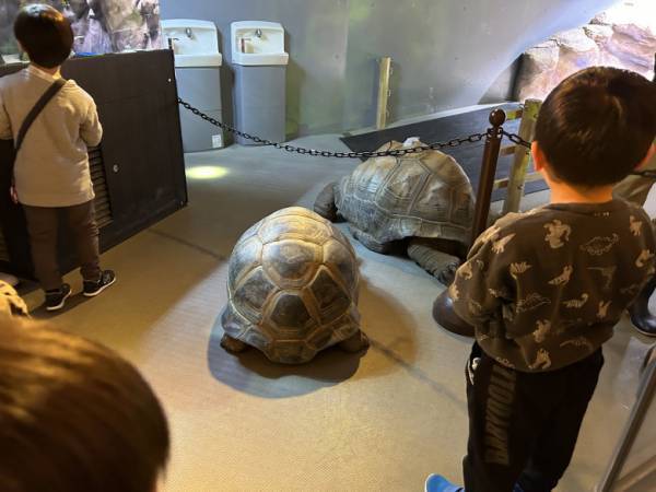 「どこに行く？親子で楽しい春のお出かけスポット」【ラジオ大阪アナ・和田家】の場合