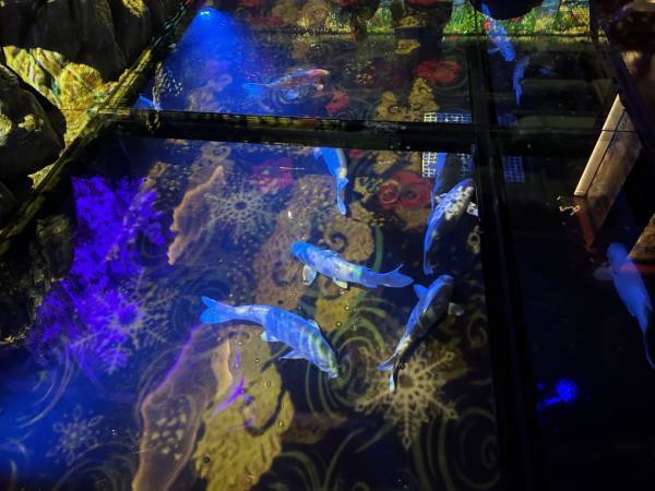 「どこに行く？親子で楽しい春のお出かけスポット」【ラジオ大阪アナ・和田家】の場合