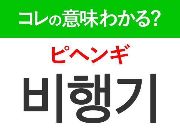 【韓国旅行に行く人は要チェック！】「비행기（ピヘンギ）」の意味は？旅行に欠かせないあの乗り物！覚えておくと便利な韓国語3選