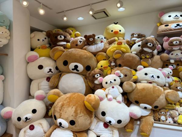 「ゆる～い猫が広報！？」“リラックマ”や“すみっコぐらし”など大人気キャラがいっぱい！【サンエックス】ショールームを訪問♪