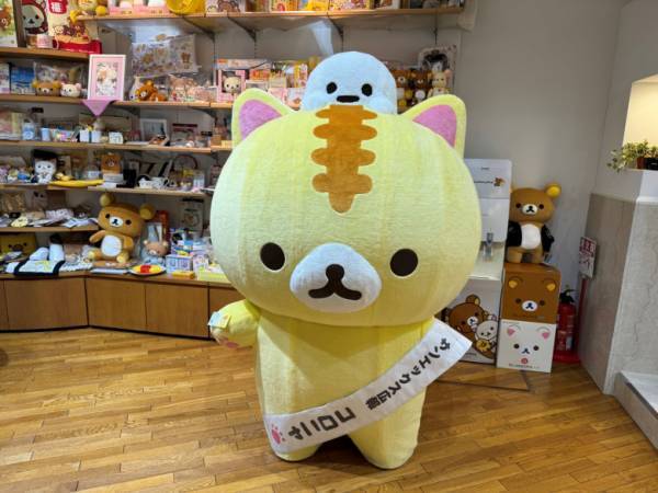 「ゆる～い猫が広報！？」“リラックマ”や“すみっコぐらし”など大人気キャラがいっぱい！【サンエックス】ショールームを訪問♪