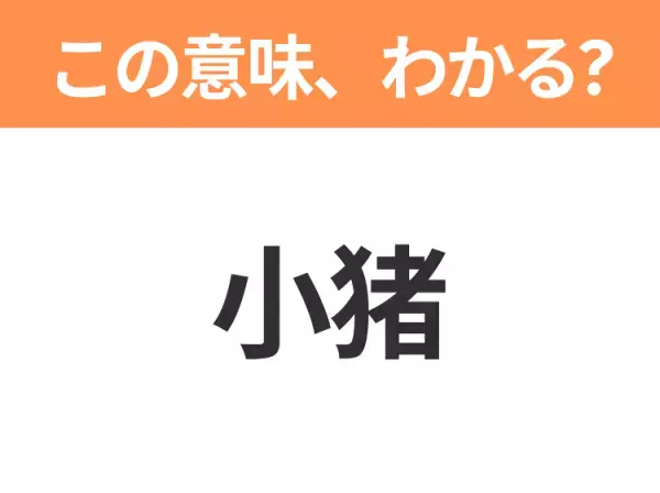 【中国語クイズ】「小猪」は何のキャラクター？ピンクの耳がかわいい小さなブタのぬいぐるみ！