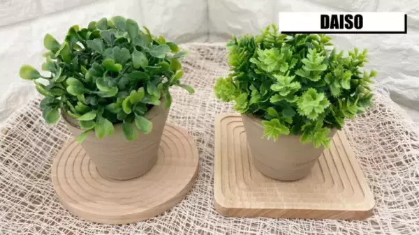 【ダイソー新商品】最新の人気アイテムを話題のYouTuberが解説！新生活にも♡