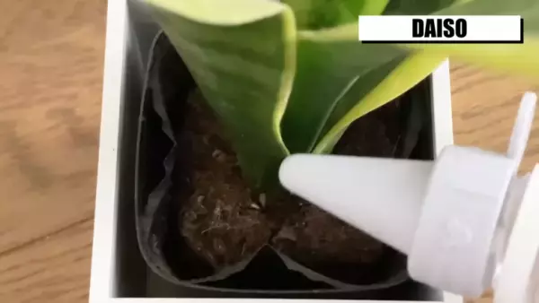 【ダイソー新商品】最新の人気アイテムを話題のYouTuberが解説！新生活にも♡