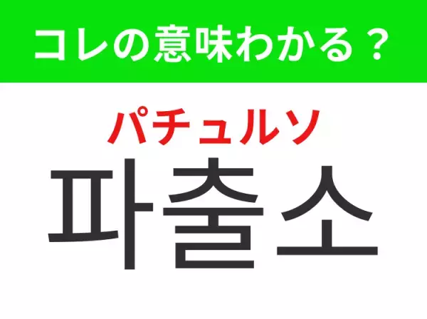 【韓国生活編】覚えておきたいあの言葉！「파출소（パチュルソ）」の意味は？