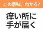 【昭和or Z世代どっち？】「痒い所に手が届く」この日本語わかりますか？