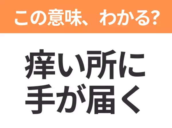 【昭和or Z世代どっち？】「痒い所に手が届く」この日本語わかりますか？