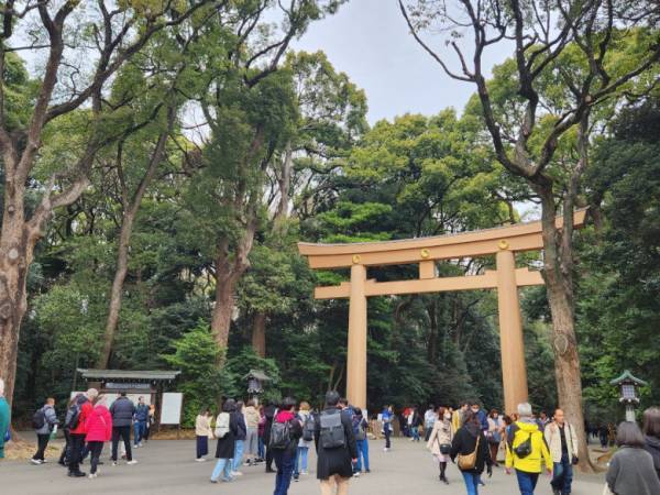 ランニング初心者でも楽しめるランイベをご紹介【3児のママ・ファンラン通信②】