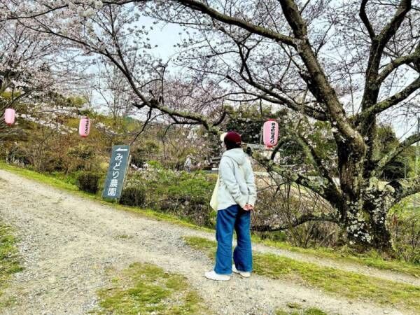 子どもの成長を焦らず見守っていきたい【ラジオ大阪アナ・和田家】の場合