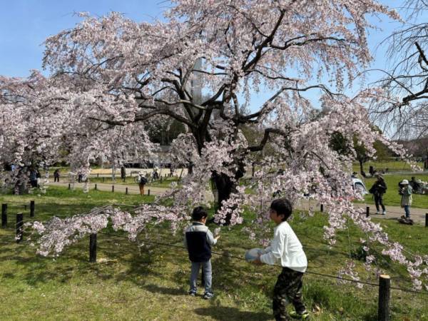 子どもの成長を焦らず見守っていきたい【ラジオ大阪アナ・和田家】の場合