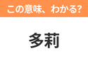 【中国語クイズ】「多莉」は何のキャラクター？おしゃべりが大好きな青い魚のキャラクター！